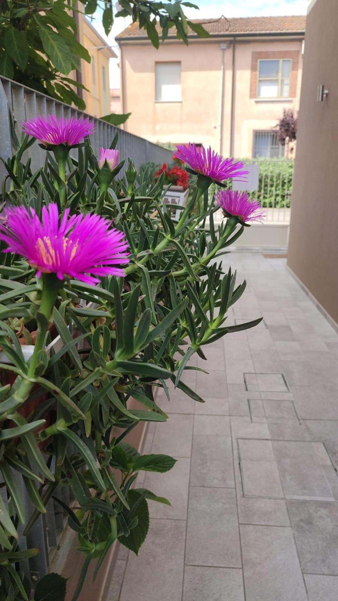 Darsena B&B Tra Arte E Mare Rawenna Zewnętrze zdjęcie